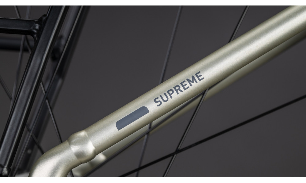 Elektrinis dviratis Cube Supreme RT Hybrid Comfort EXC 600 Easy Entry 26 champagne'n'grey 2026 - 5