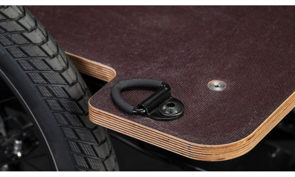 Elektrinis dviratis Cube Trike Flatbed Hybrid 750 24x20 swampgrey'n'reflex 2026 - 3