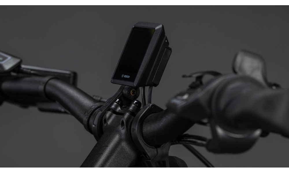 Elektrinis dviratis Cube Trike Flatbed Hybrid 750 24x20 swampgrey'n'reflex 2026 - 7