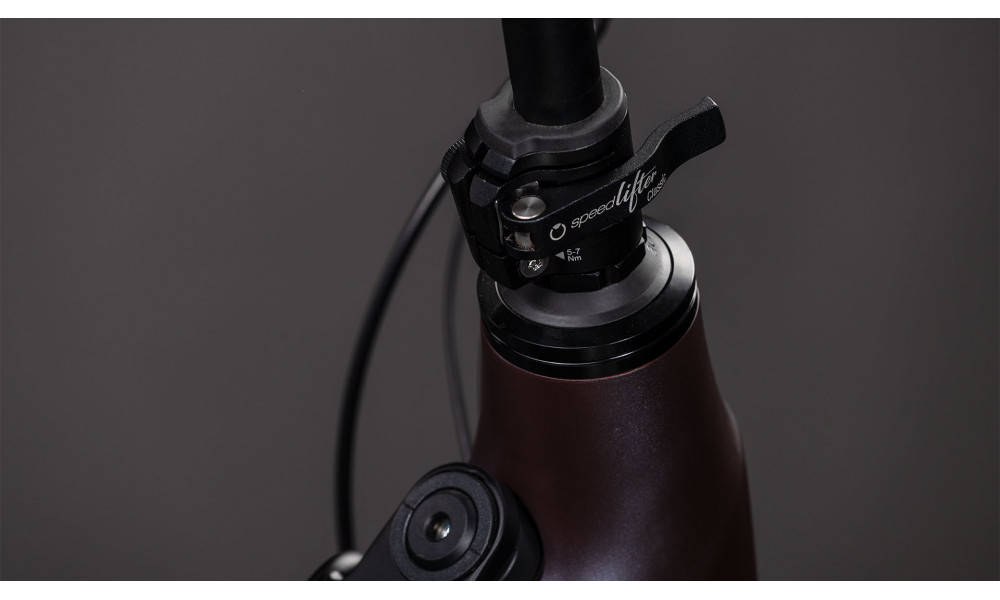 Elektrinis dviratis Cube Longtail Hybrid Comfort 800 mineralgrey'n'reflex 2026 - 5