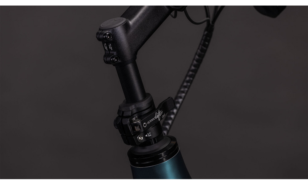 Elektrinis dviratis Cube Longtail Hybrid 800 royalgreen'n'black 2026 - 3