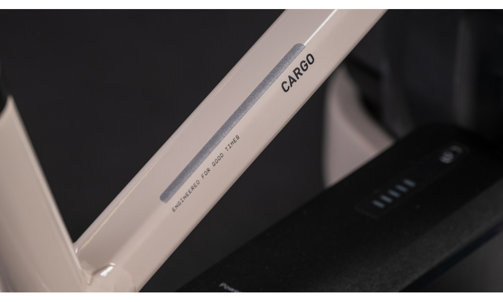 Elektrinis dviratis Cube Cargo Hybrid Comfort Pro Family 800 26x20 oatgrey'n'reflex 2026 - 7