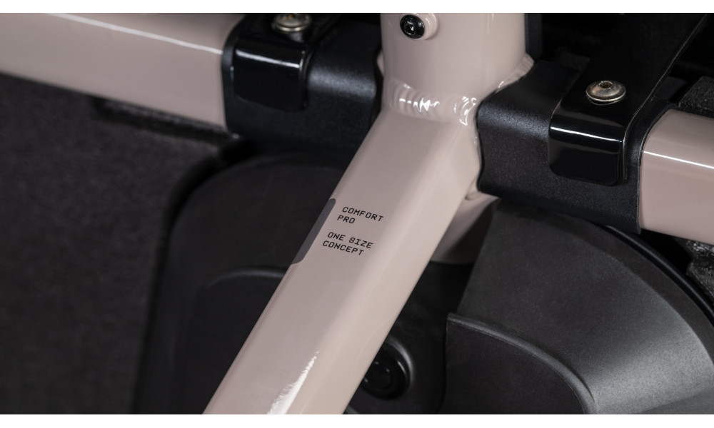 Elektrinis dviratis Cube Cargo Hybrid Comfort Pro Family 800 26x20 oatgrey'n'reflex 2026 - 8