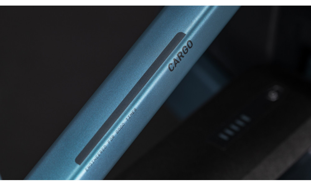 Elektrinis dviratis Cube Cargo Hybrid Comfort Pro Family 800 26x20 smaragdgrey'n'reflex 2026 - 6