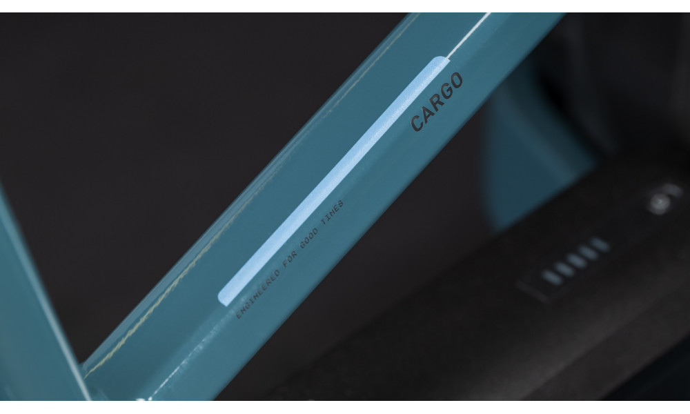 Elektrinis dviratis Cube Cargo Hybrid 800 26x20 storm'n'reflex 2026 - 5