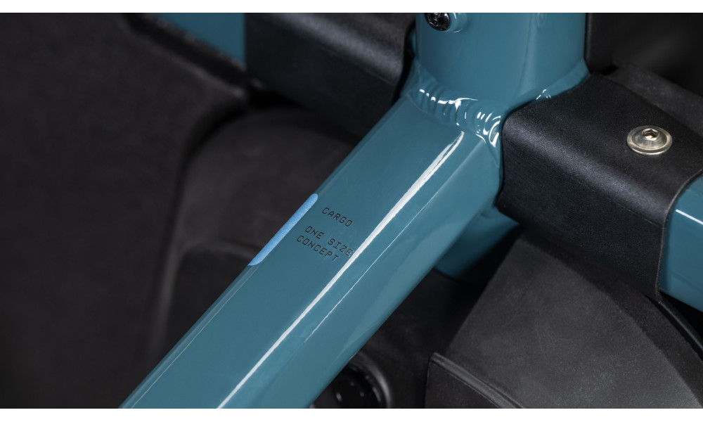 Elektrinis dviratis Cube Cargo Hybrid 800 26x20 storm'n'reflex 2026 - 6