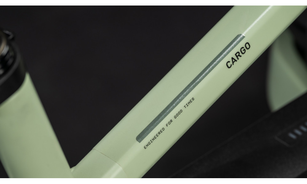 Elektrinis dviratis Cube Cargo Hybrid 800 26x20 pea'n'reflex 2026 - 6