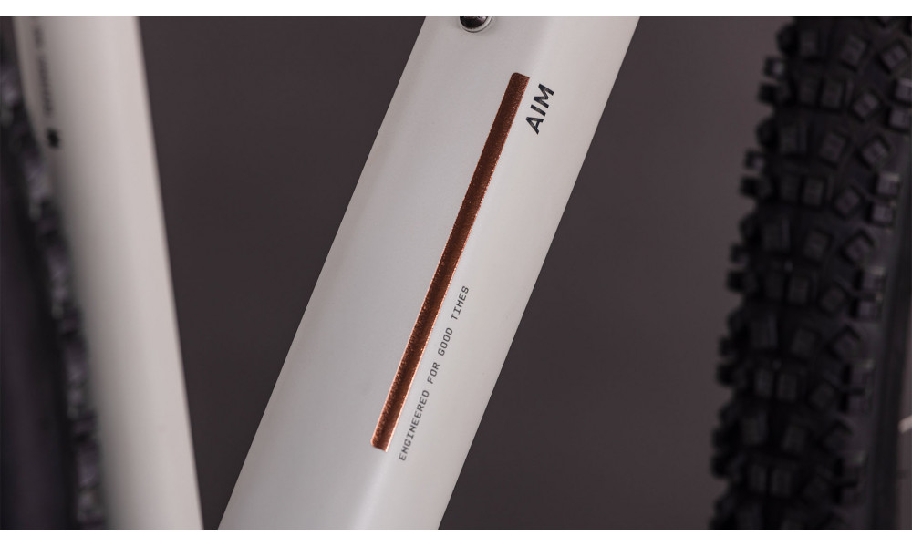 Dviratis Cube Aim Pro 29 greige'n'titan 2026 - 4