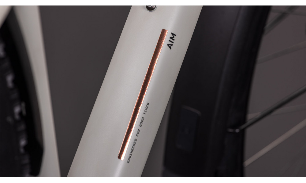 Dviratis Cube Aim Pro FE 29 greige'n'titan 2026 - 4