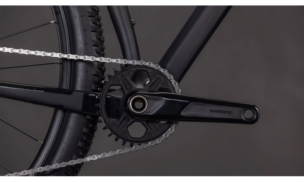 Dviratis Cube Reaction C:62 Pro 29 blackline 2026 - 2