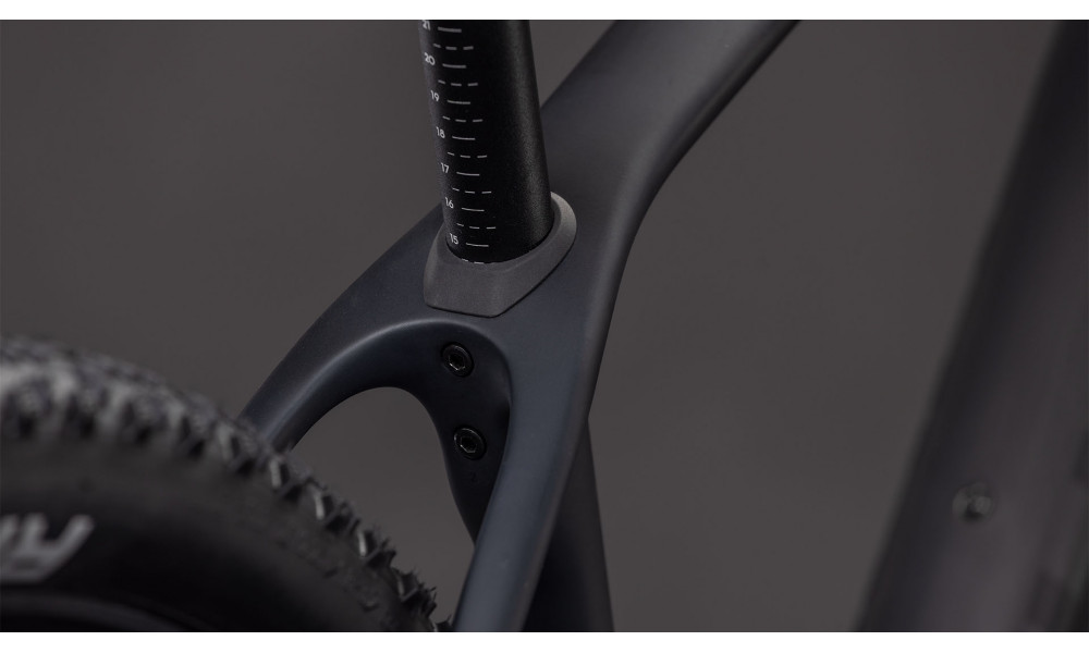 Dviratis Cube Reaction C:62 Pro 29 blackline 2026 - 4