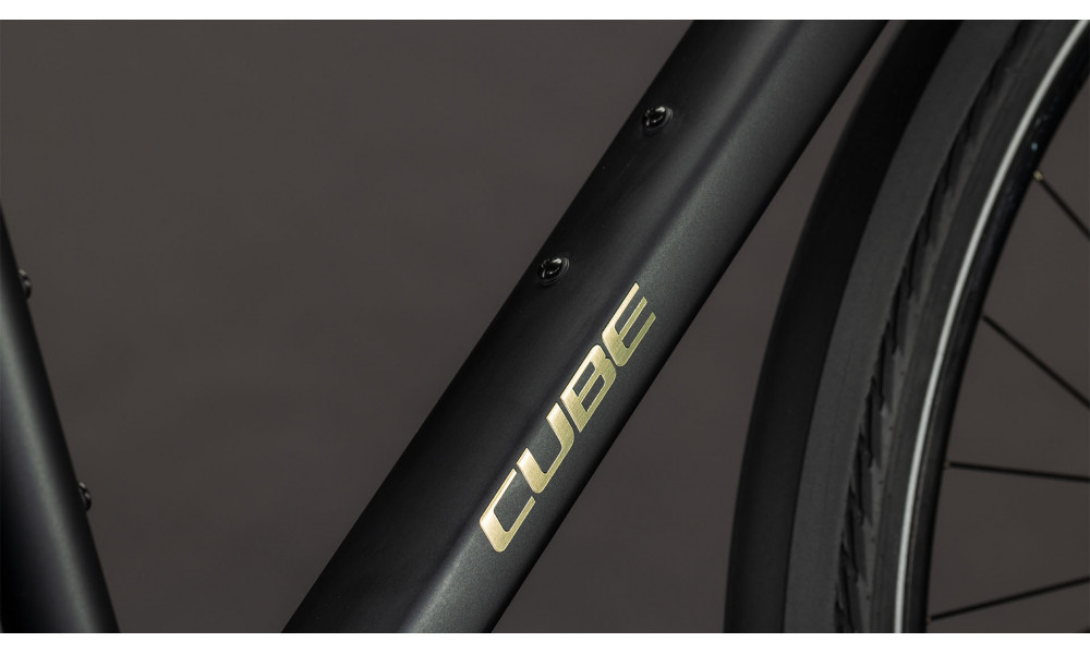 Dviratis Cube Nulane Comfort EXC FE grey'n'chrome 2026 - 3