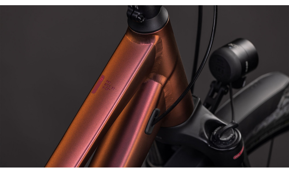 Dviratis Cube Kathmandu Pro Trapeze sunglow'n'prizm 2026 - 6