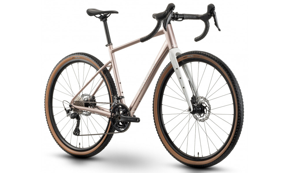 Dviratis Raymon Territ Pro 2026 palemauve-saltwhite - 2