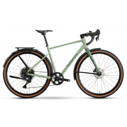 Dviratis Raymon Territ Auto Street 2026 salvia green-sage green