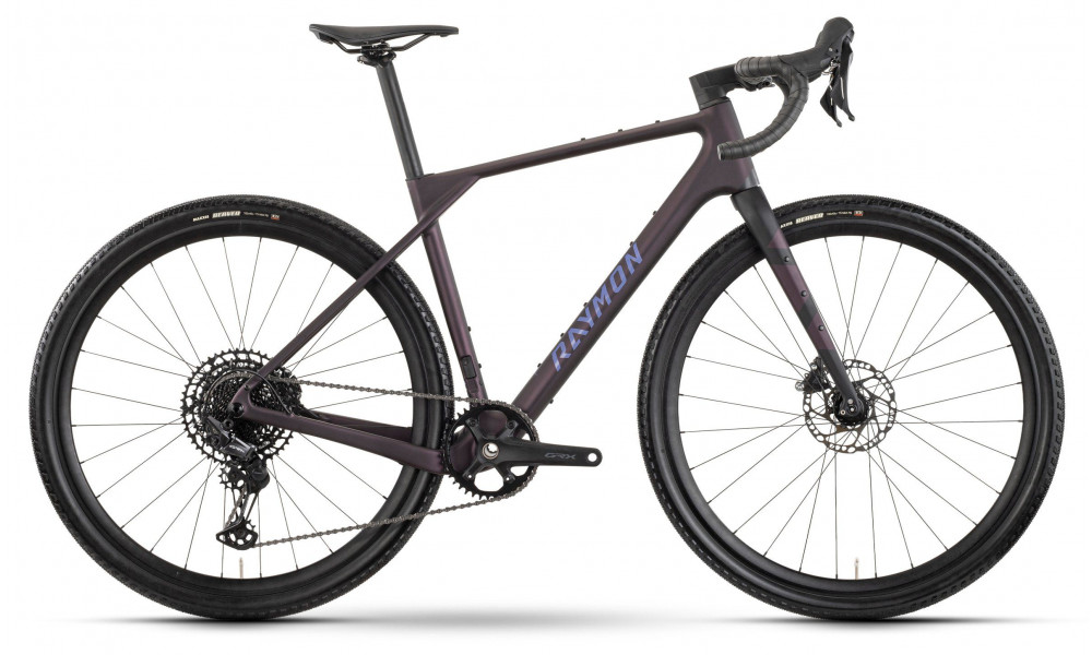 Dviratis Raymon Soreno Pure 2026 floridplum - 1