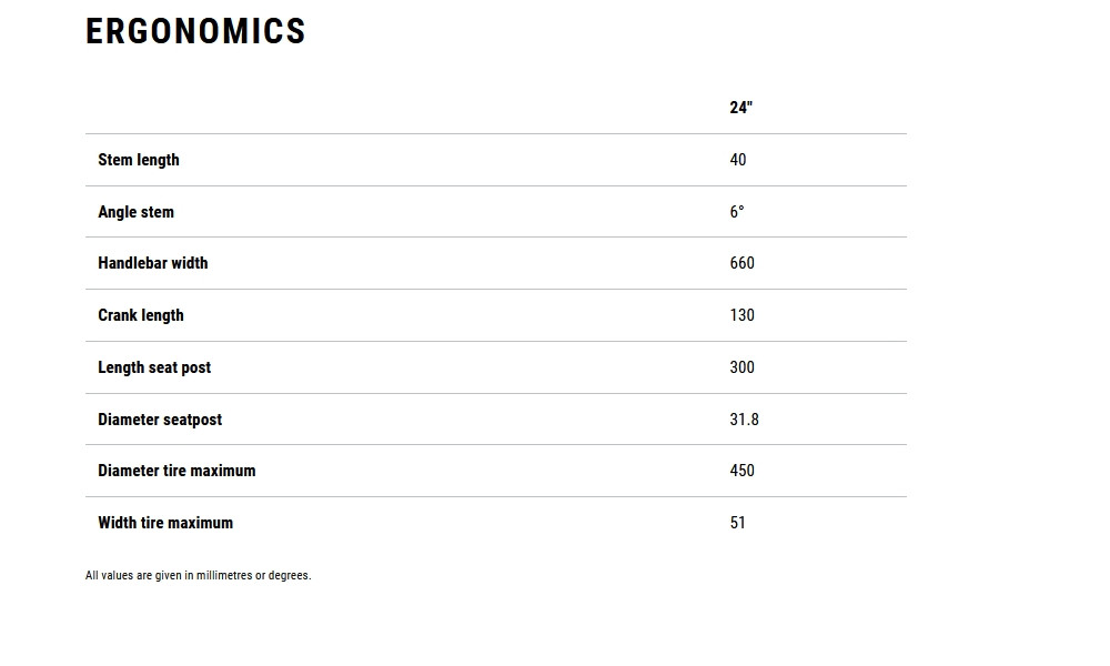 Dviratis Cube Flying Circus 240 hazeblue'n'reflex 2026 - 7