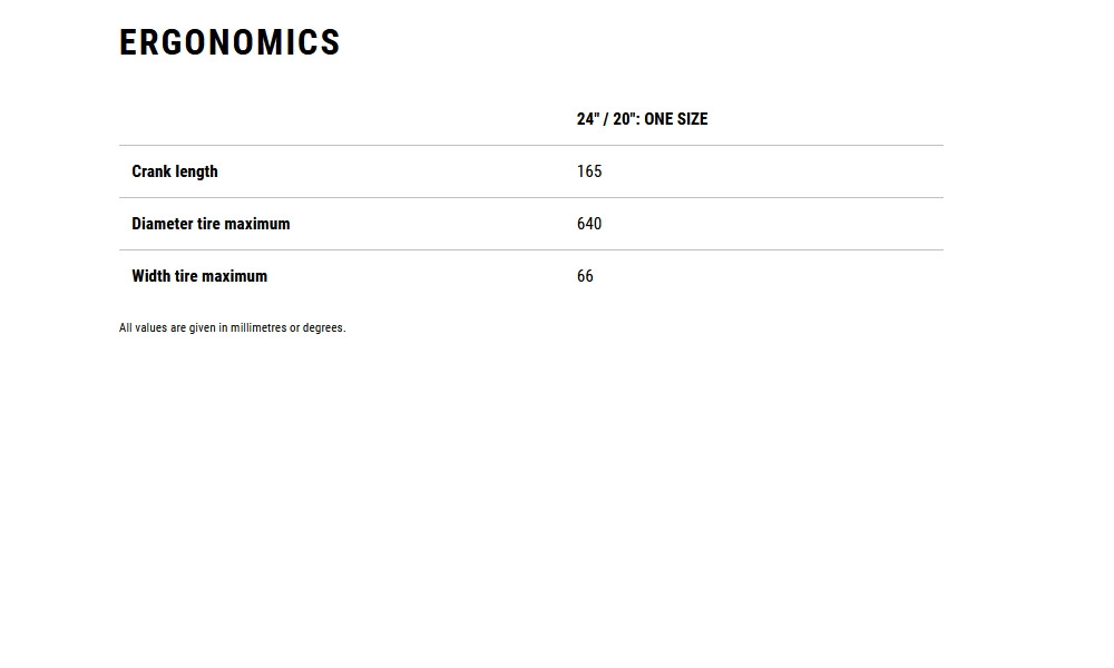 Elektrinis dviratis Cube Trike Flatbed Hybrid 750 24x20 swampgrey'n'reflex 2026 - 9