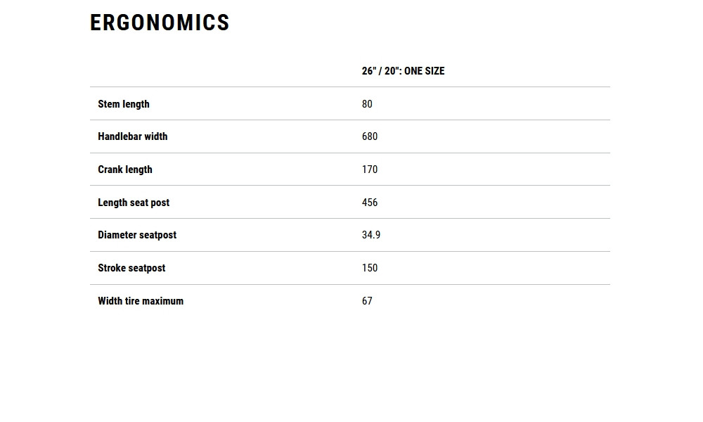Elektrinis dviratis Cube Cargo Hybrid 800 26x20 storm'n'reflex 2026 - 7