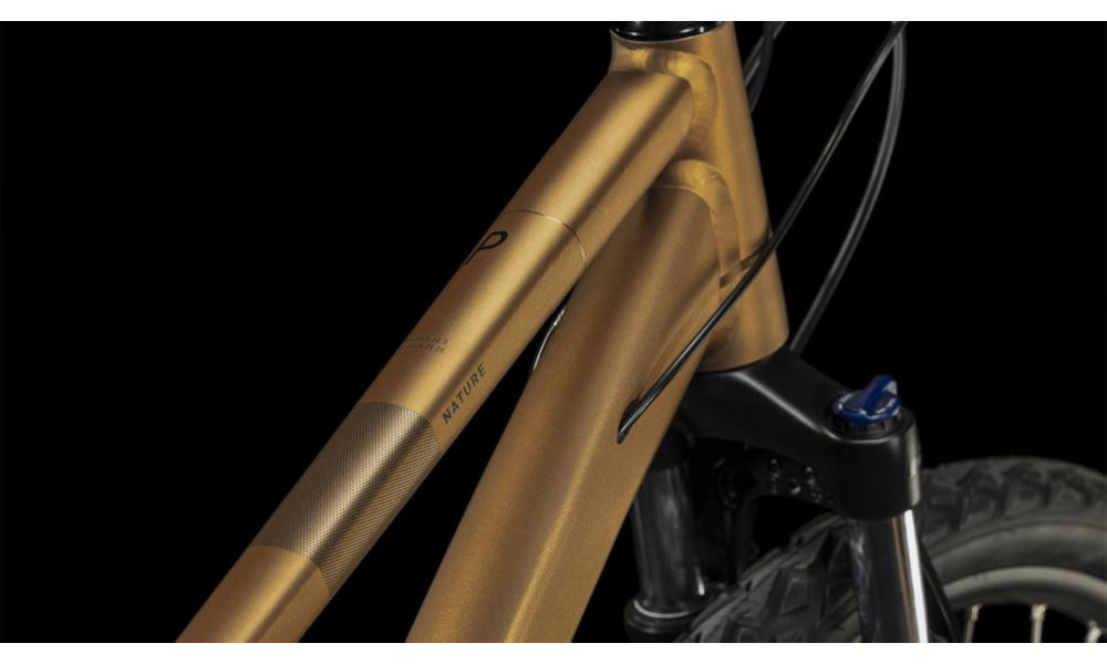 Dviratis Cube Nature Pro gold'n'black - 3