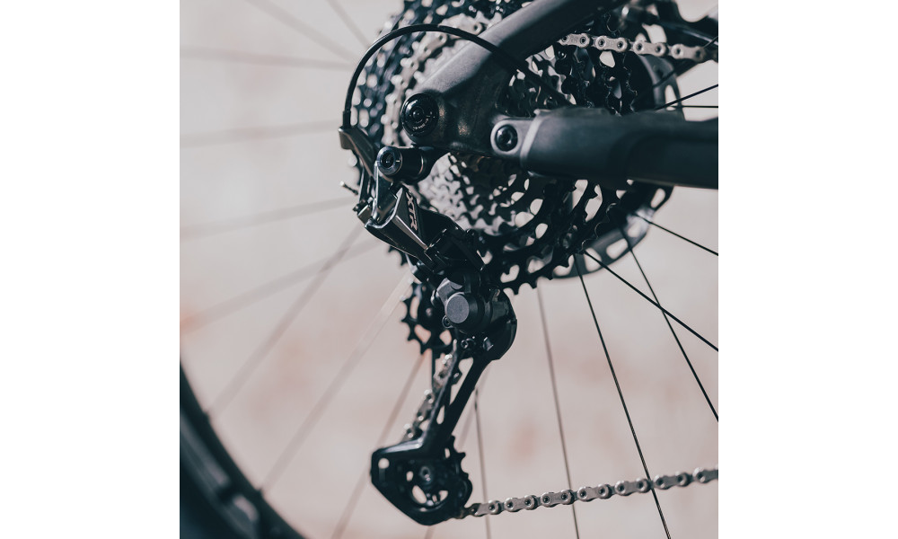 Elektrinis dviratis Cube AMS Hybrid ONE44 C:68X SLT 400X 29 carbon'n'golddust 2025 - 4