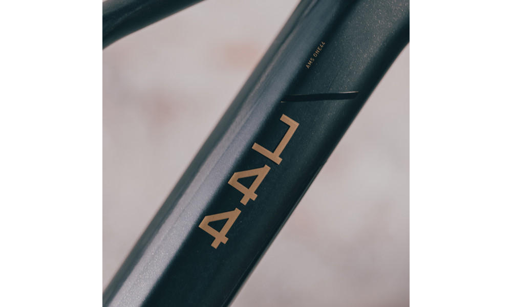 Elektrinis dviratis Cube AMS Hybrid ONE44 C:68X SLT 400X 29 carbon'n'golddust 2025 - 10