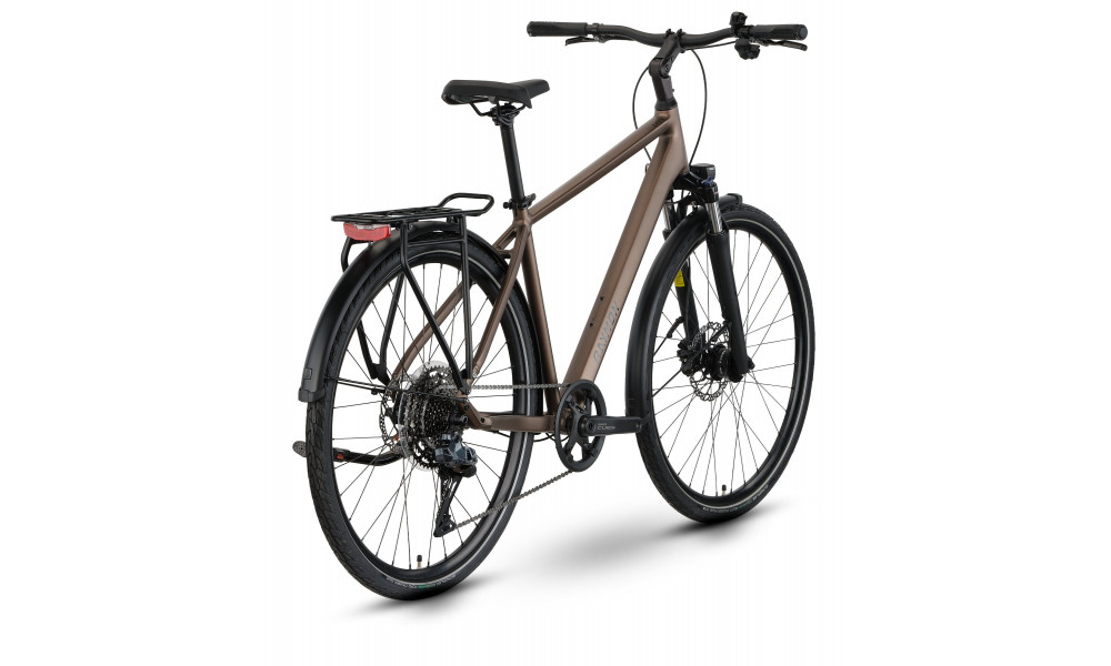 Dviratis Raymon Zayn Auto 2026 mushroom - 2