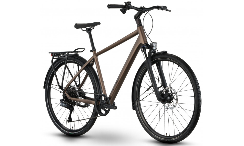 Dviratis Raymon Zayn Auto 2026 mushroom - 3