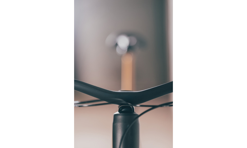 Elektrinis dviratis Cube AMS Hybrid ONE44 C:68X SLT 400X 29 carbon'n'golddust 2025 - 25