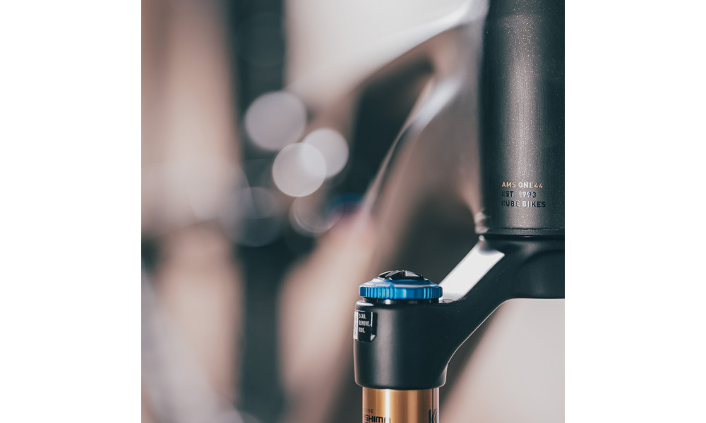 Elektrinis dviratis Cube AMS Hybrid ONE44 C:68X SLT 400X 29 carbon'n'golddust 2025 - 26