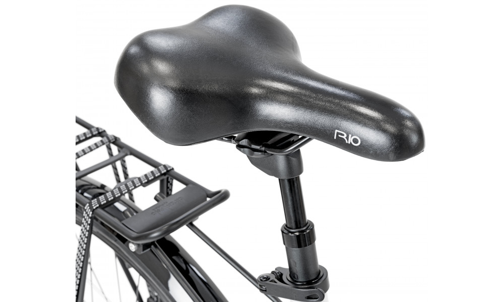 Dviratis Romet Gazela 2 2025 grey-violet - 2