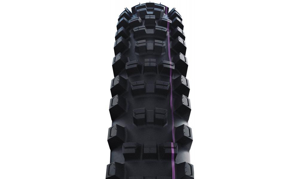 Padanga 29" Schwalbe Shredda Rear HS639 Evo Fold TLR 64-622 / 29x2.50 Gravity Pro - 2