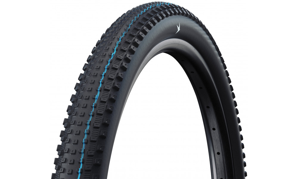 Padanga 29" Schwalbe Rick HS635 Evo Fold TLR 62-622 / 29x2.40 XC Pro 