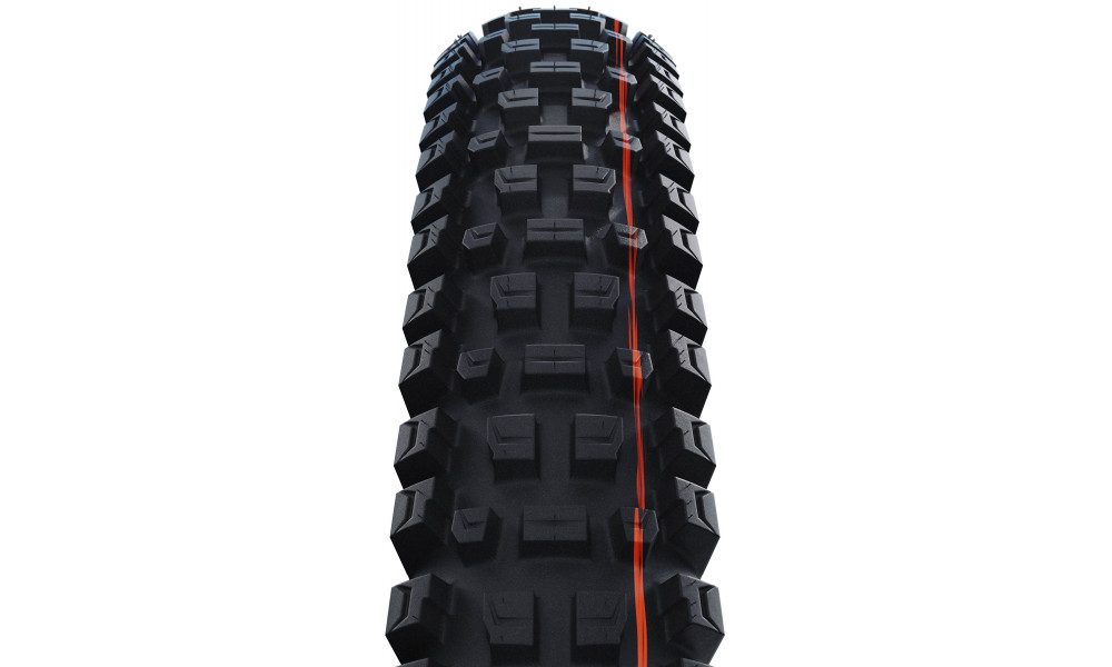 Padanga 29" Schwalbe Albert HS641 Evo Fold TLR 63-622 / 29x2.50 Trail Pro - 2