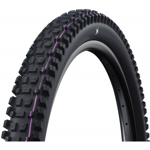 Padanga 29" Schwalbe Albert HS641 Evo Fold TLR 65-622 / 29x2.60 Gravity Pro
