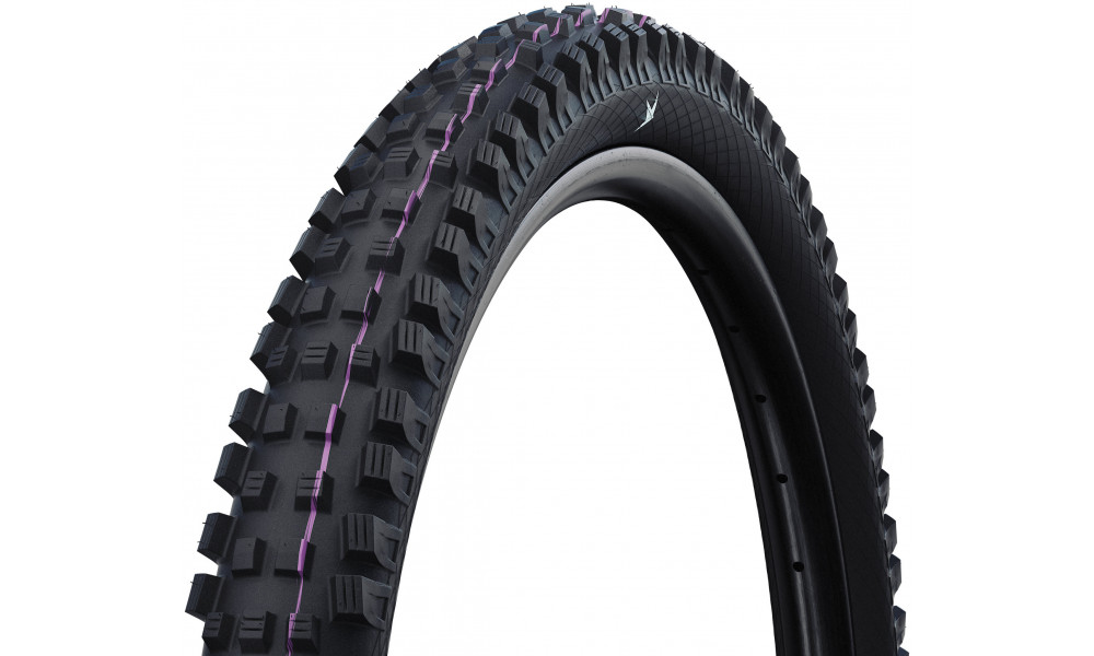 Padanga 29" Schwalbe Magic Mary HS447 Evo Fold TLR 63-622 / 29x2.50 Gravity Pro 