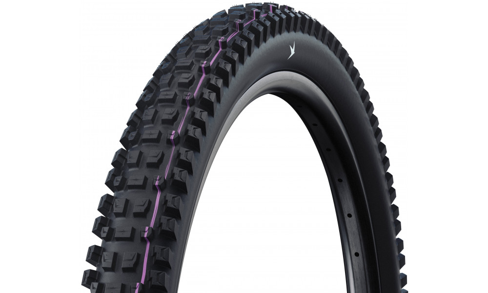 Padanga 29" Schwalbe Albert HS641 Evo Fold TLR 63-622 / 29x2.50 Trail Pro - 1