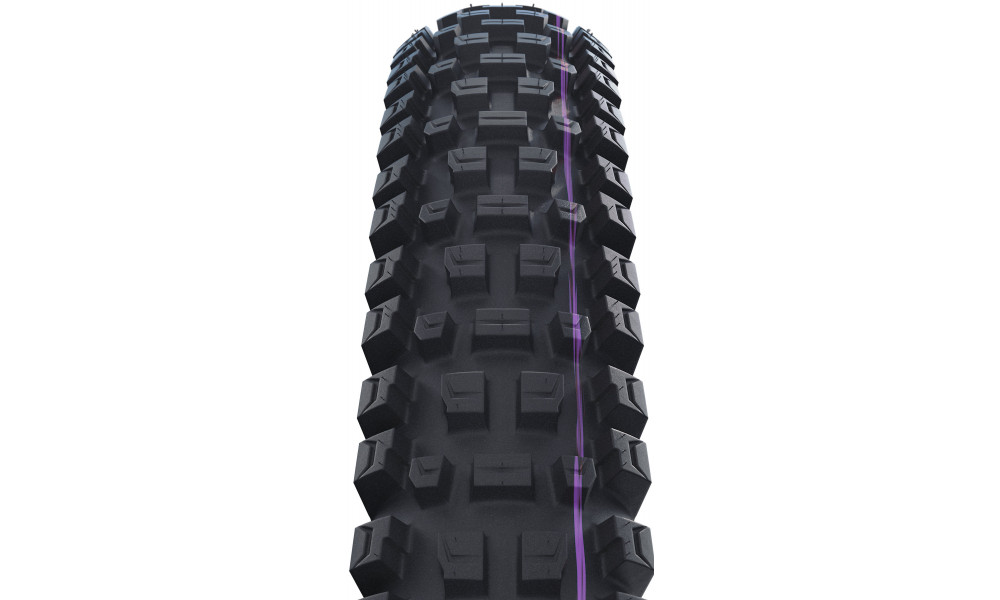 Padanga 29" Schwalbe Albert HS641 Evo Fold TLR 63-622 / 29x2.50 Trail Pro - 2