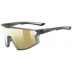Akiniai Uvex skyryse smoke matt / mirror gold
