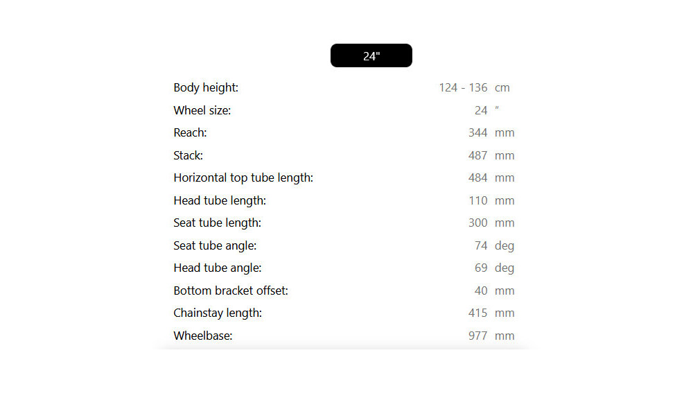 Dviratis Raymon Yanga 24 Pro 2025 grey-white-lime - 4