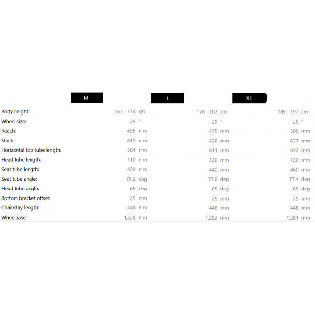 Elektrinis dviratis Raymon Tarok 29/27.5" 2025 grey sparkle-carbon-citron