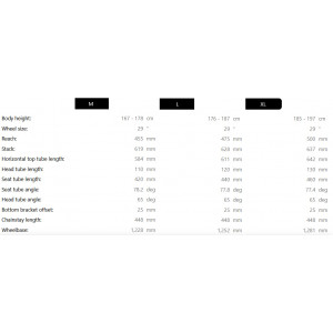 Elektrinis dviratis Raymon Tarok 29/27.5" 2025 grey sparkle-carbon-citron