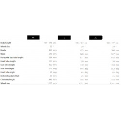 Elektrinis dviratis Raymon Tarok 29/27.5" 2025 grey sparkle-carbon-citron
