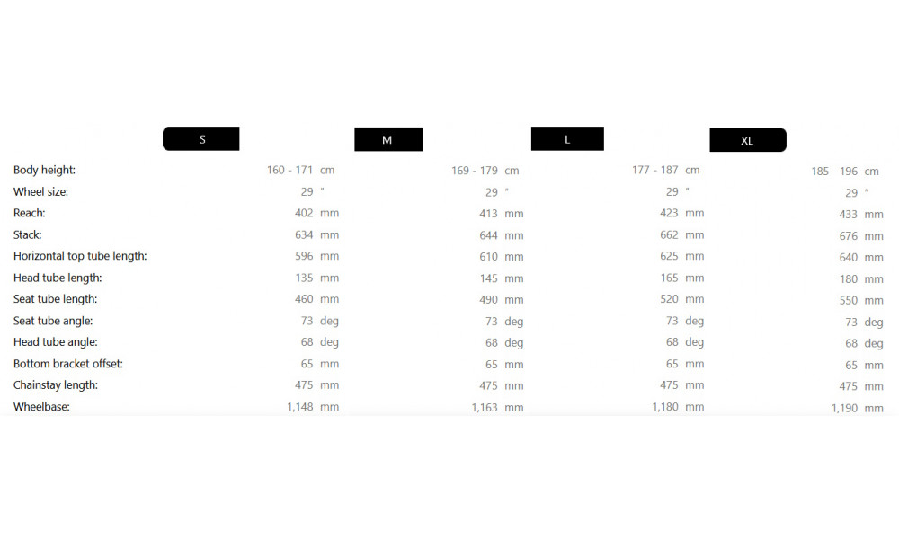 Elektrinis dviratis Raymon Tahona 600 29" 2025 tenmoku-black-honey - 4