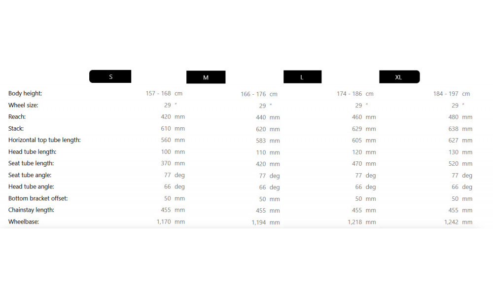 Dviratis Raymon Yara 120 Pro 29" 2025 smaragd green - 4