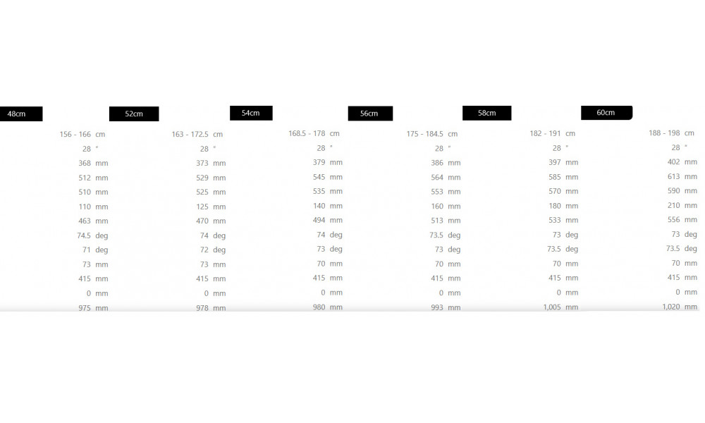 Dviratis Raymon Kirana Ultimate 2025 carbon stealth - 4