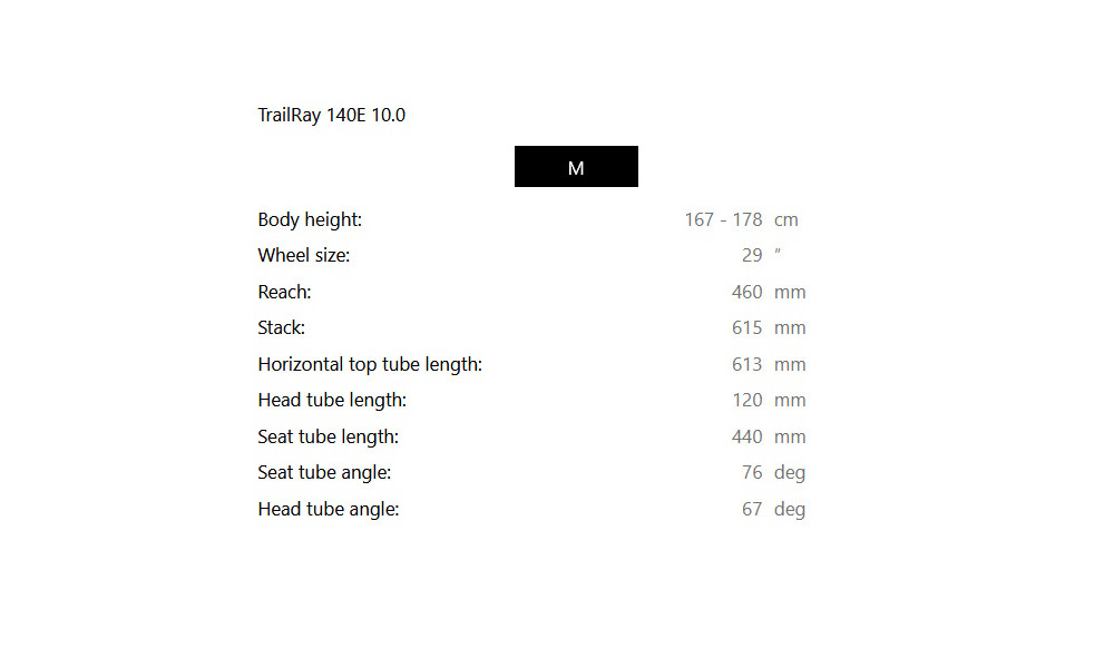 Elektrinis dviratis Raymon TrailRay 140E 10.0 29" grey black-white - 2