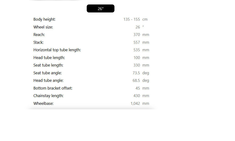 Dviratis Raymon Nayta 26 Comp 2026 kurkuma - 4