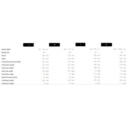 Dviratis Raymon Soreno Ultimate 2026 white marble