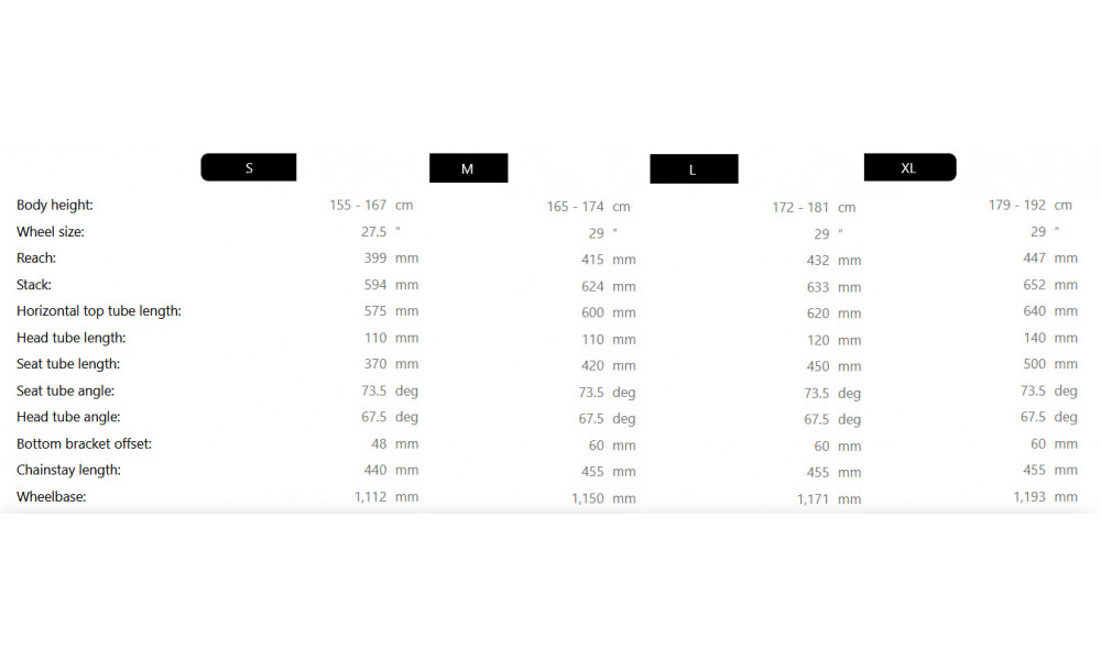 Dviratis Raymon Soreno Pure 2026 carbon stealth - 4